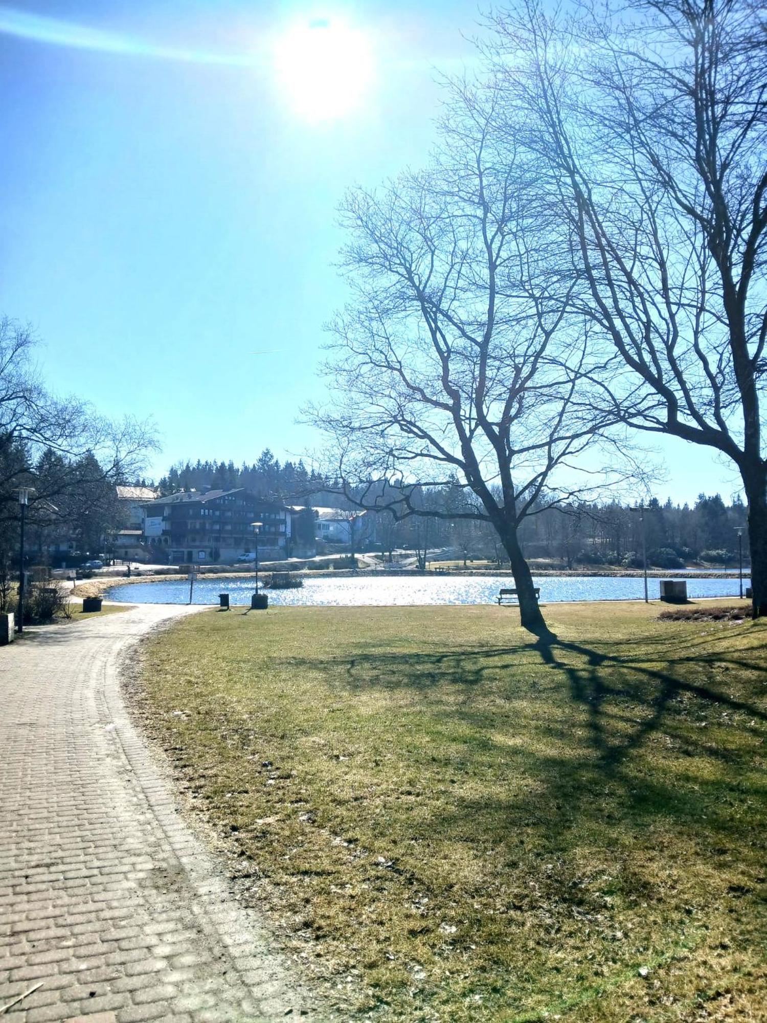 גוסלר Hotel Hahnenkleer Hof מראה חיצוני תמונה